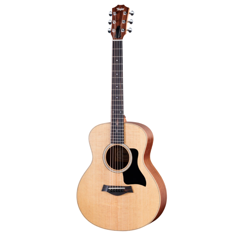 Taylor GS Mini
