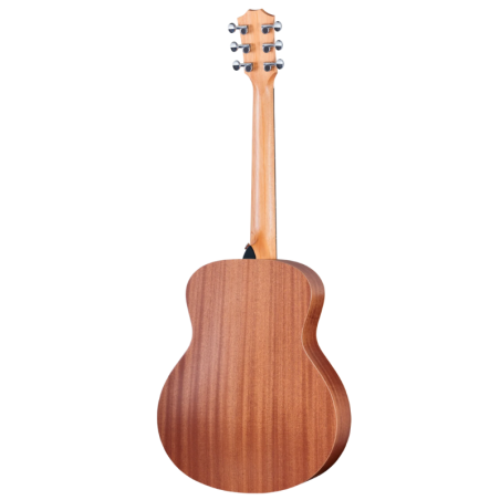 Taylor GS Mini