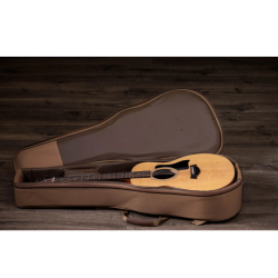 Taylor GS Mini