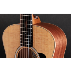 Taylor GS Mini