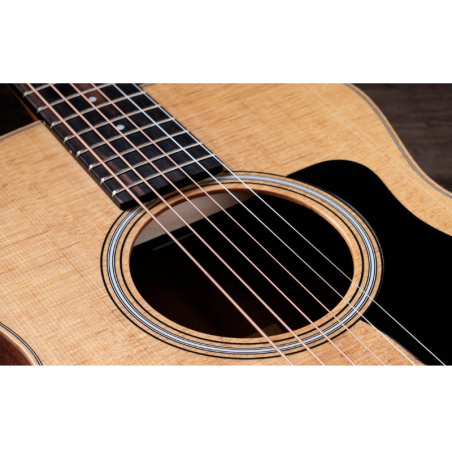 Taylor GS Mini
