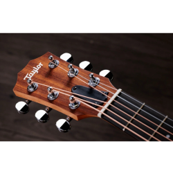 Taylor GS Mini