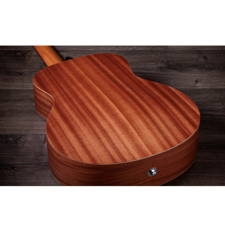 Taylor GS Mini