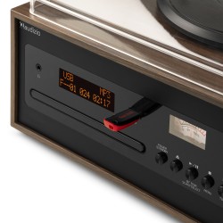 Audizio Boston