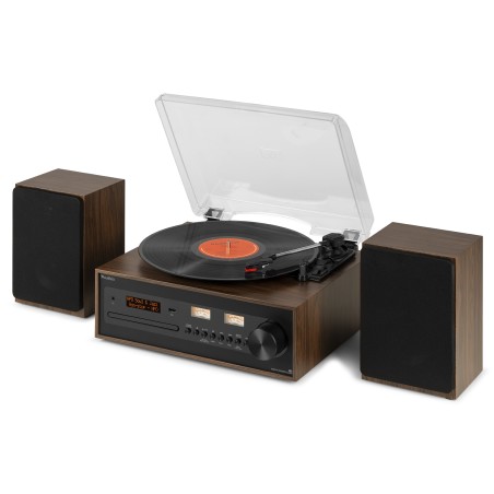 Audizio Boston