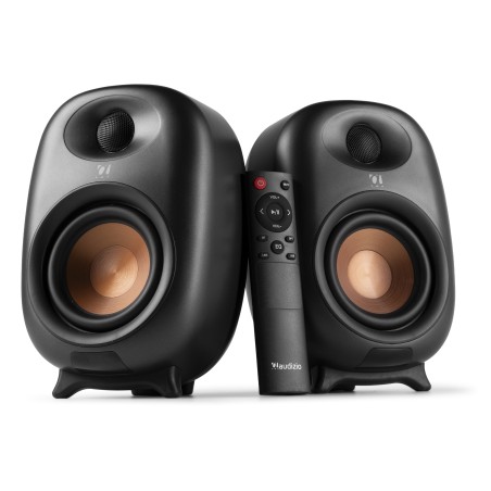 Audizio RS80