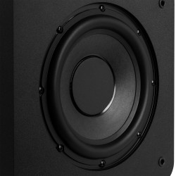 Audizio SW80D