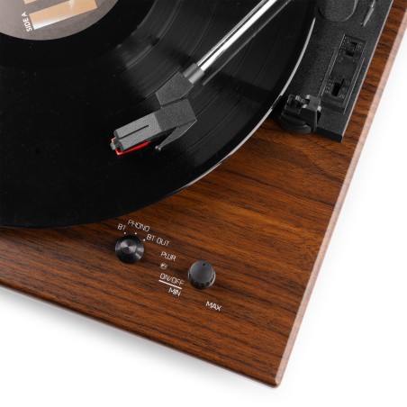 Audizio RP112D Dark Wood