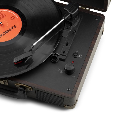 Audizio RP116W Wood