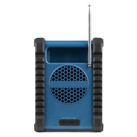Audizio Temi