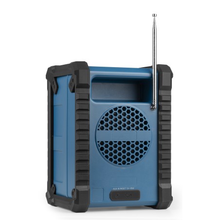 Audizio Temi