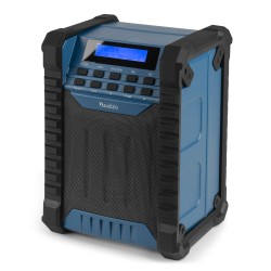 Audizio Temi