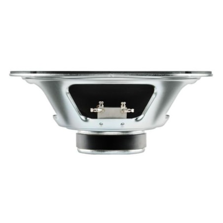 Celestion Ten 30 10" 8 Ohm