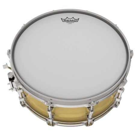 REMO Ambassador 8" BA-0108-00