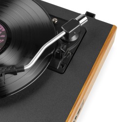 Audizio RP335 Wood