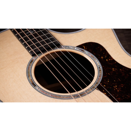Taylor 414ce-R Natural