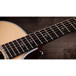 Taylor 414ce-R Natural