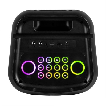Fenton Core130 2x6,5 Batt.BT Micro