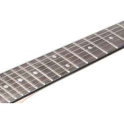 Ibanez GRG120QASP-BKG Black Gradation