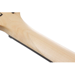 Ibanez GRG120QASP-BKG Black Gradation