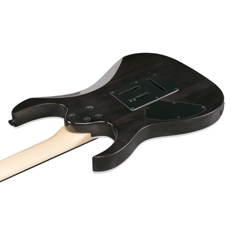 Ibanez GRG120QASP-BKG Black Gradation