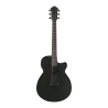 Ibanez AEG621-BOT Black Out