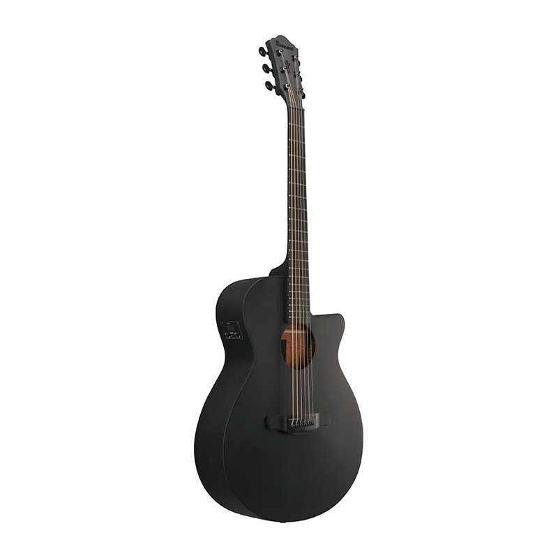 Ibanez AEG621-BOT Black Out