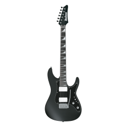 Ibanez BER10 Bernth Signature