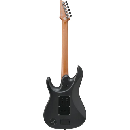 Ibanez BER10 Bernth Signature