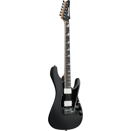 Ibanez BER10 Bernth Signature