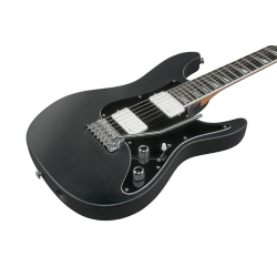 Ibanez BER10 Bernth Signature