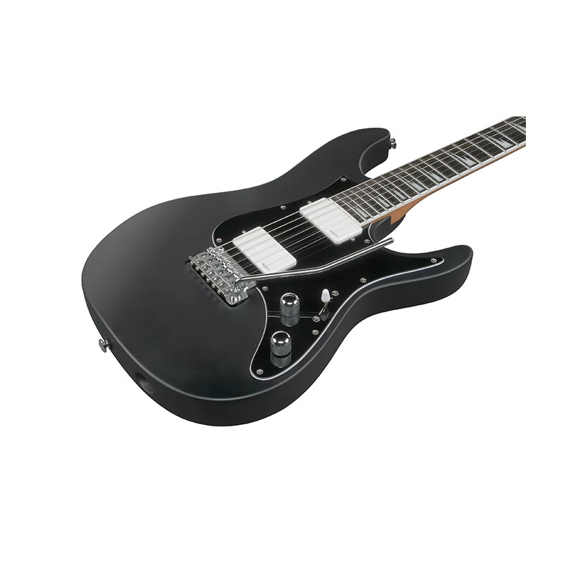 Ibanez BER10 Bernth Signature