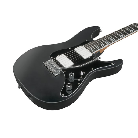 Ibanez BER10 Bernth Signature