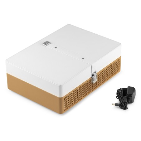 Audizio RP119G Record Player Btout Gold