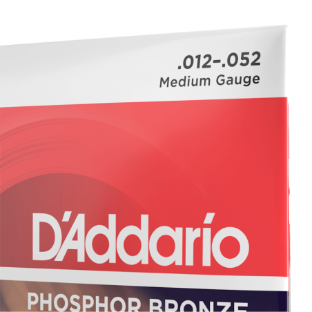 D'Addario EJ39 12 String Medium 12-52