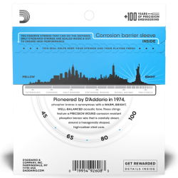 D'Addario EPBB170 Long 45-100