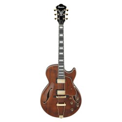 Ibanez AG95MG-DA Dark Amber