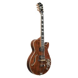 Ibanez AG95MG-DA Dark Amber