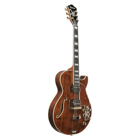 Ibanez AG95MG-DA Dark Amber