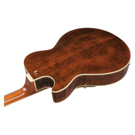 Ibanez AG95MG-DA Dark Amber