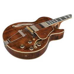 Ibanez AG95MG-DA Dark Amber