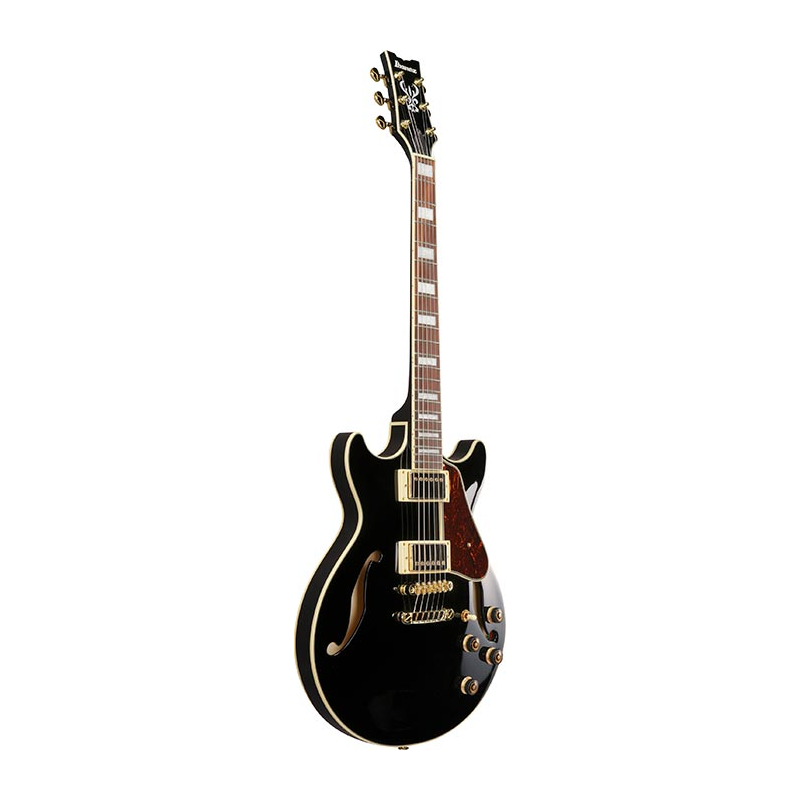 Ibanez AM73G-BK Black