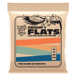 Ernie Ball 2802 Group I Flatwound 55-110