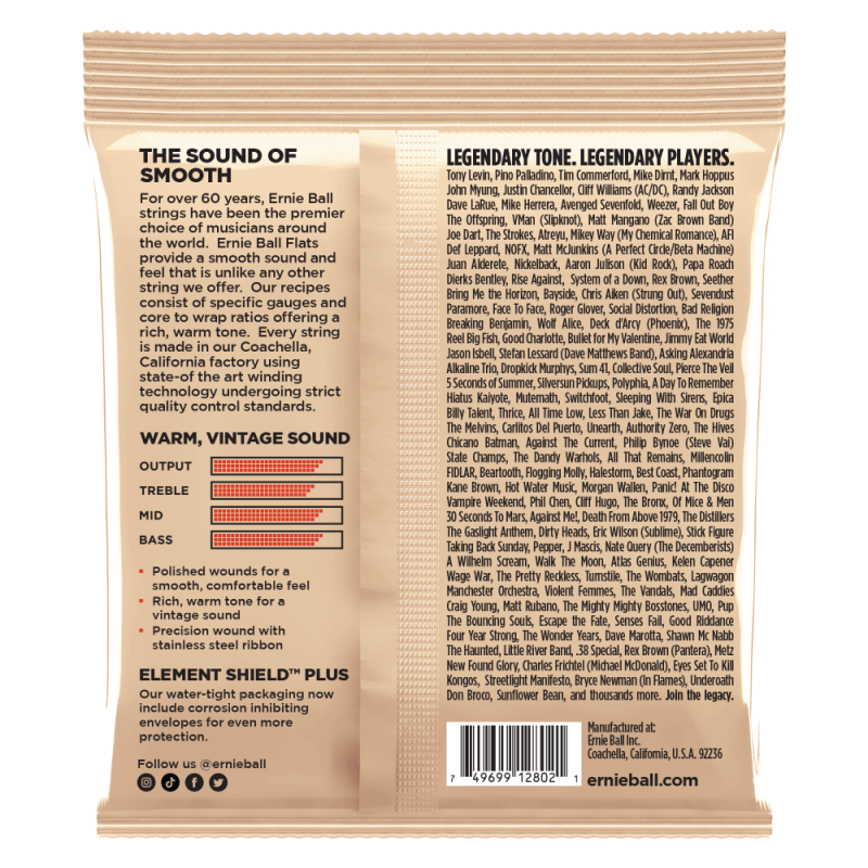 Ernie Ball 2802 Group I Flatwound 55-110