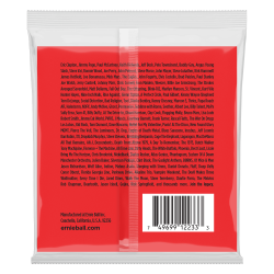 Ernie Ball 2233 12 String Light Nickel Wound 09-46