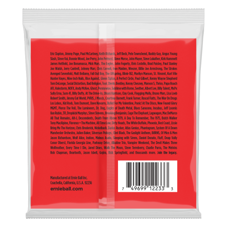 Ernie Ball 2233 12 String Light Nickel Wound 09-46