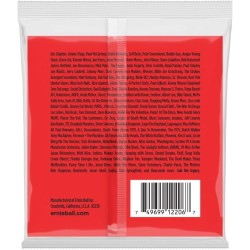 Ernie Ball 2206 Nickel Wound Medium Gauge 12-54