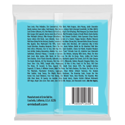 Ernie Ball 2849 Super Long Scale Slinky Bass 45-105