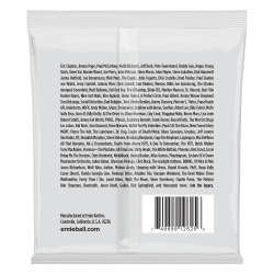Ernie Ball 2625 8-String Slinky 10-74
