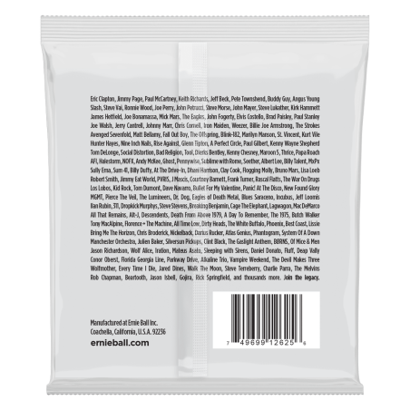 Ernie Ball 2625 8-String Slinky 10-74